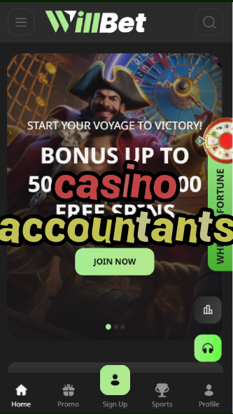 casino accountants-bandasonoracasino.asdasdzhjkds.com